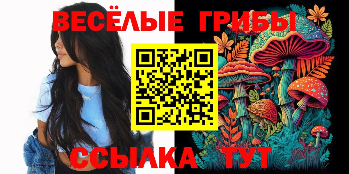 Галлюциногенные грибы ЛСД  как найти наркотики  Костомукша  Вход с VPN  Галлюциногенные грибы Psilocybine cubensis 